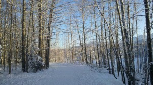 I would rather walk several miles in the frigid north of Alaska than suffer the consequences my wellness buddy had in store for me.