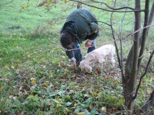 Francesco and his truffle hunting dog Leah.  She likes to eat them - expensive dog treat at $150 per pound.